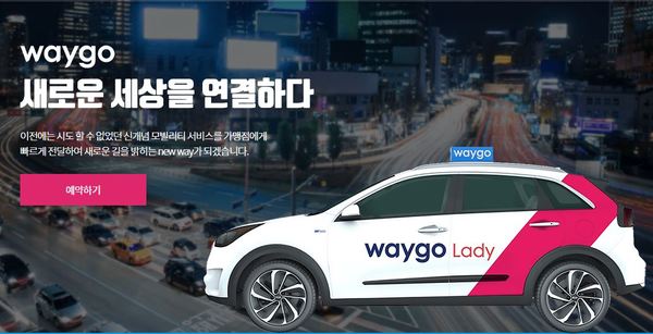 '웨이고 레이디' /사진=타고솔루션즈 홈페이지 캡처