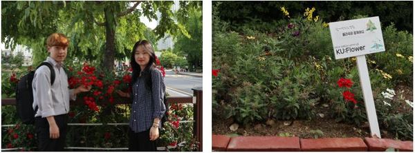 쿨라워 회장단 임주원 학생(왼쪽), 김현이 학생과 교내 게릴라 가드닝 화단 / 사진=MBN 온라인뉴스팀