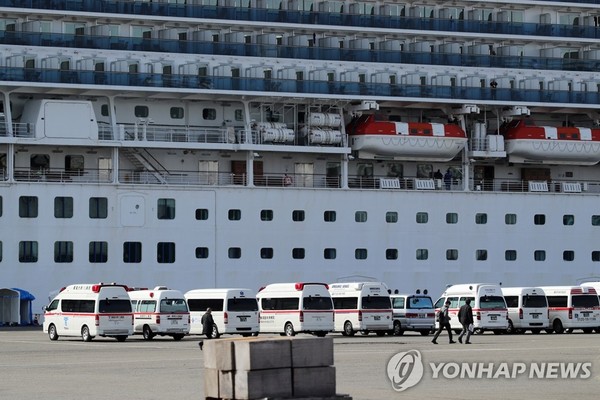 대형 유람선 '다이아몬드 프린세스'호 / 사진=연합뉴스