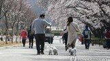 오늘의 날씨, 아침엔 '쌀쌀' 낮에는 '포근'…낮 기온 14~22도