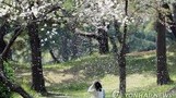 내일 한낮에도 쌀쌀한 봄바람…건조 특보 '유지'