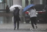 서울 전역 호우특보... 천둥·번개 동반한 비 쏟아져