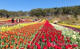 오늘의 날씨, 전국 맑고 일교차 커…낮 최고 16~26도