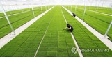 오늘의 날씨, 비 소식 없는 '곡우'…일교차 20도 이상