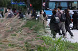 가을 없이 겨울? 이번 주말 한파특보 전망…서울 2도로 '뚝'
