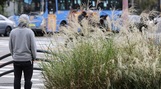 오늘 날씨, 전국 대체로 맑음…곳곳에 한파특보