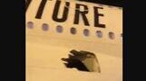 [영상] 동체 구멍 난 채로 14시간 비행한 아랍에미리트 여객기