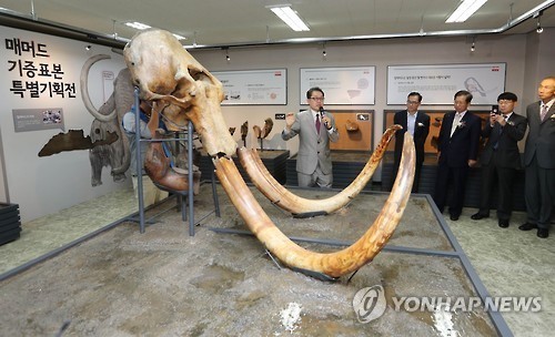 영국 일간 더타임스는 러시아 국립 바이러스·생명공학 연구센터 벡토르의 연구진이 선사시대 바이러스를 되살리기 위해 매머드 등 빙하기 동물의 잔해를 분석하고 있다고 보도했습니다. 자료...