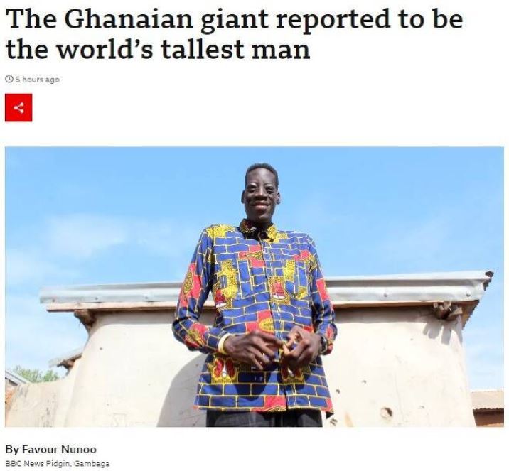  289cm 