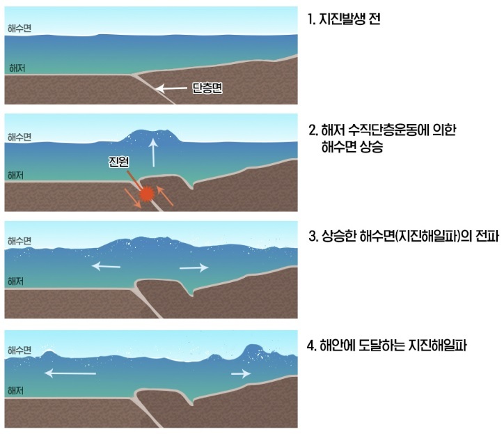 [강세현의 재난백서] 지진해일은 돌아온다