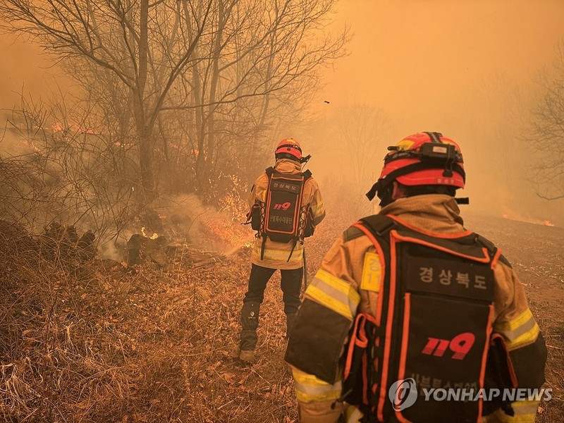 경북 의성군 산불 / 사진=연합뉴스