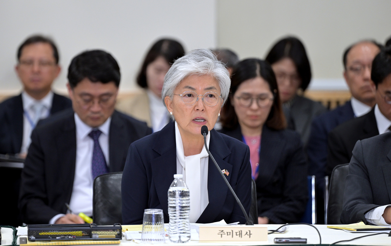 강경화 주미한국대사가 어제(현지 시각 12일) 워싱턴DC 주미한국대사관에서 열린 국회 외교통일위원회 국정감사에서 발언하고 있다. / 사진=연합뉴스