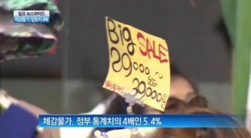 국민 체감 물가상승률, 정부 통계에 따르면 상반기 물가 상승률이 1%대에 불과한데 반해, 국민이 피부로 느끼는 물가 상승률은 5%대가 넘는 것으로 조사됐다. 사진=채널A 뉴스보도 ...