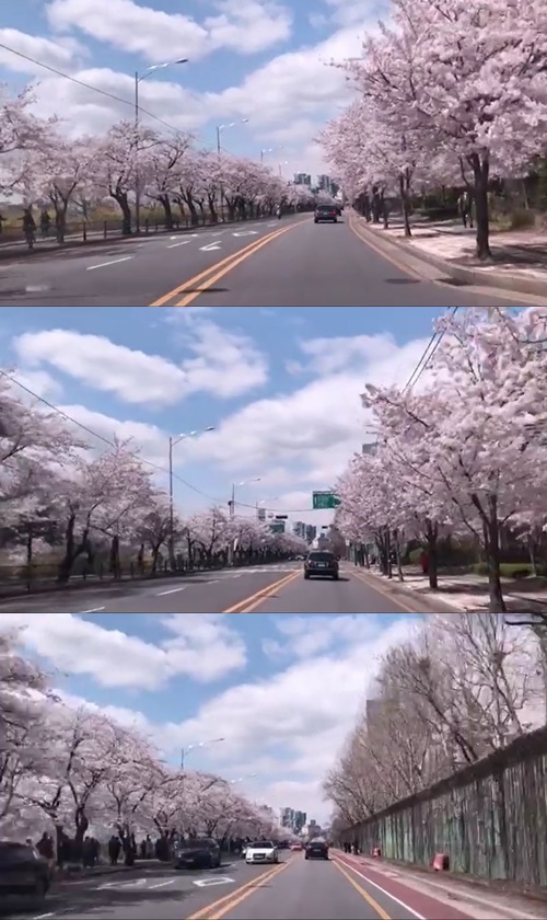 박신혜, '숲속의 작은 집' 제작발표회 가는 길 꽃보며 “서울은 맑음” - MBN