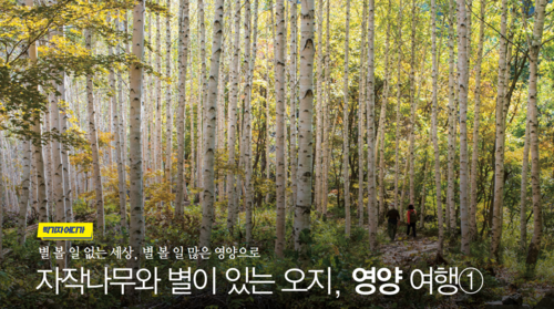 영양수비별빛캠핑장 이미지