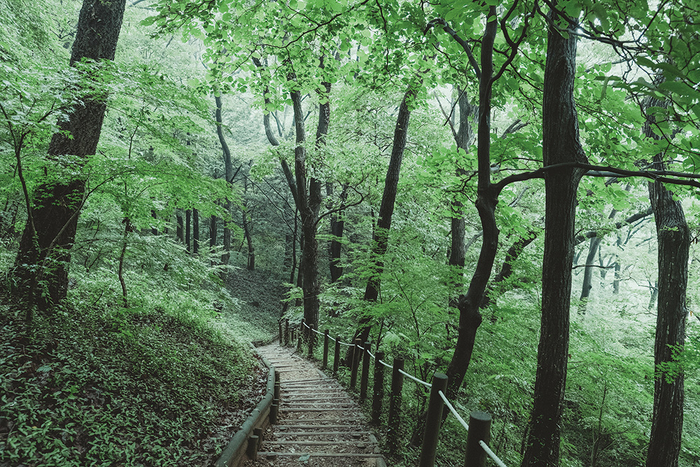 다산초당
