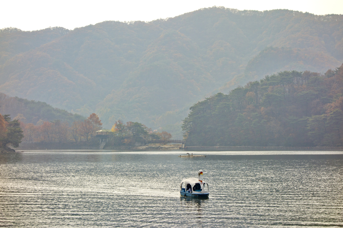 [Travel] 침묵의 숲과 빛나는 호수…포천에서 찾은 마음의 여백