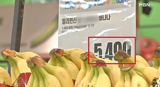 바나나 10% '껑충'…고환율에 수입 과일 값 오른다