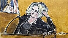 '트럼프와 성관계'...재판서 증언한 영화 배우