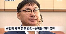 '위증 혐의' 이화영 측근 '기록 1만 페이지'