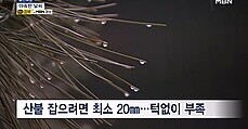 야속한 하늘…5mm 찔끔 봄비에 강풍만 쌩쌩