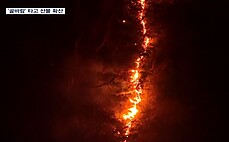 '골바람' 타고 산불 확산…강원·부산까지 위협