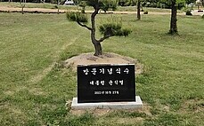 사라진 ‘윤석열 기념식수 비석’…