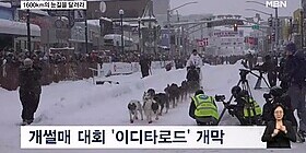 1600km의 눈길을 달려라