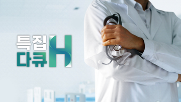 특집다큐H