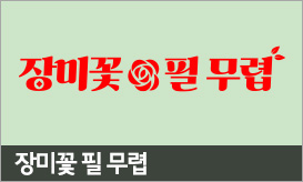장미꽃 필 무렵